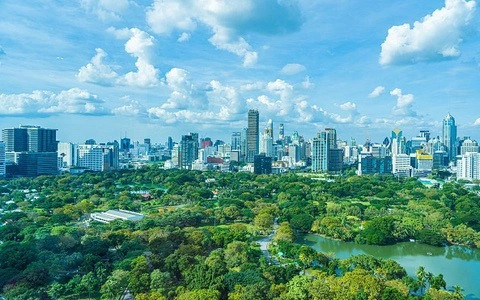 Aumentan ingresos de industria maderera de Vietnam a partir de créditos de carbono ảnh 2