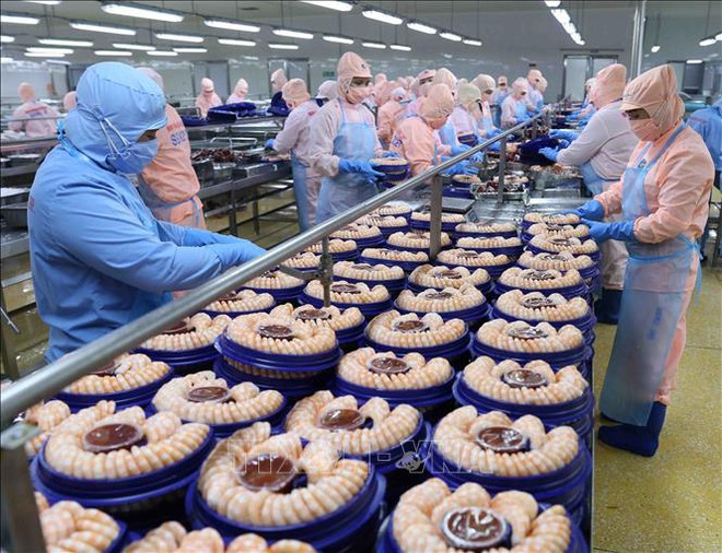 Desafíos para la exportación de productos acuáticos vietnamitas en 2024 ảnh 1 Desafíos para la exportación de productos acuáticos vietnamitas en 2024 ảnh 1