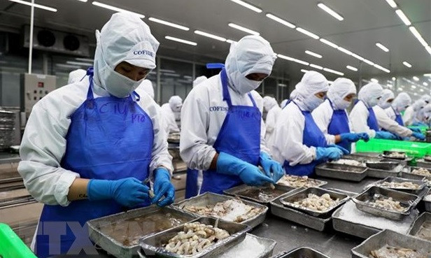Desarrollo integral de mercado laboral: una de las prioridades de Vietnam ảnh 1