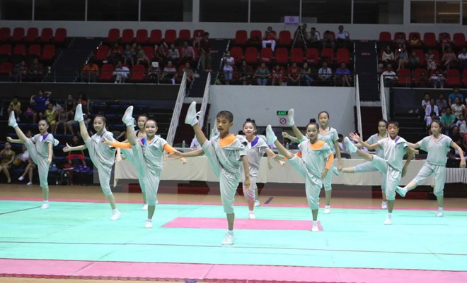 Vietnam acoge Campeonato Asiático de Aeróbic 2015 ảnh 1 Vietnam acoge Campeonato Asiático de Aeróbic 2015 ảnh 1