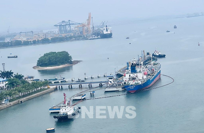 Vietnam agiliza desarrollo de flota naviera nacional ảnh 2 Vietnam agiliza desarrollo de flota naviera nacional ảnh 2