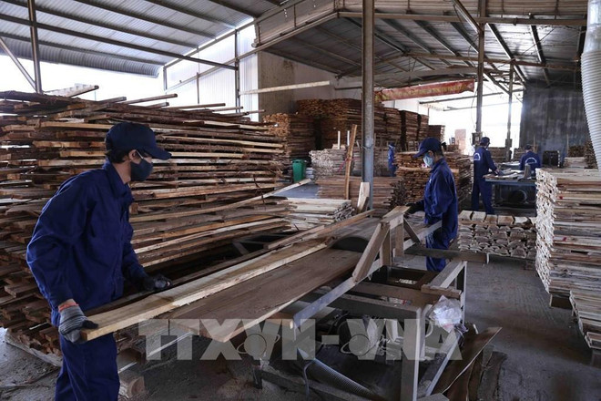 Vietnam se esfuerza por eliminar dificultades para producción de fin de año ảnh 2 Vietnam se esfuerza por eliminar dificultades para producción de fin de año ảnh 2