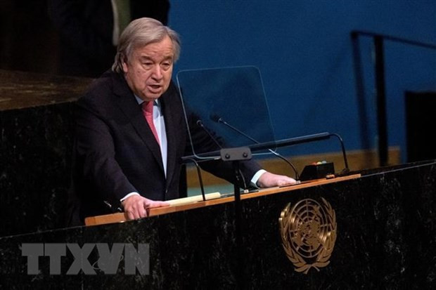 📝Enfoque: Vietnam siempre protege y promueve activamente derechos humanos ảnh 2 📝Enfoque: Vietnam siempre protege y promueve activamente derechos humanos ảnh 2