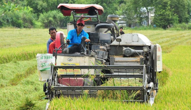 Alemania ayuda a aumentar competitividad de cadenas de valor agrícolas en Delta del Mekong ảnh 1 Alemania ayuda a aumentar competitividad de cadenas de valor agrícolas en Delta del Mekong ảnh 1