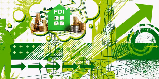 Buscan ecologizar inversión extranjera directa en Vietnam ảnh 1