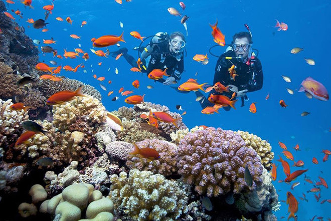 Emiten plan maestro para restauración de bahía vietnamita de Nha Trang ảnh 1 Emiten plan maestro para restauración de bahía vietnamita de Nha Trang ảnh 1