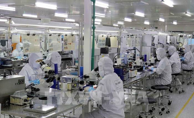 Poseen espacio para el crecimiento empresas vietnamitas de tecnología ảnh 1 Poseen espacio para el crecimiento empresas vietnamitas de tecnología ảnh 1