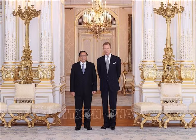 Vietnam concede importancia al fomento de cooperación con Luxemburgo ảnh 1