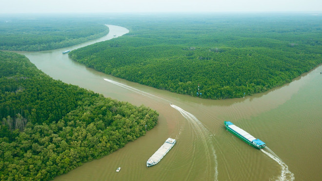 Buscan convertir al distrito vietnamita de Can Gio en ciudad de ecoturismo ảnh 1