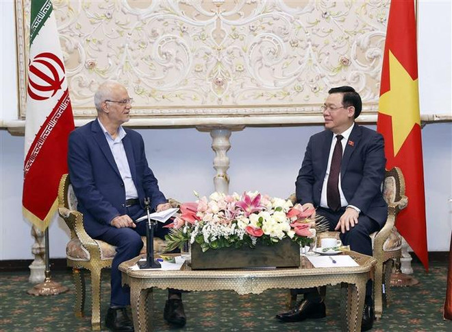 Resaltan contribuciones de la Asociación de Amistad Irán - Vietnam a nexos bilaterales ảnh 1 Resaltan contribuciones de la Asociación de Amistad Irán - Vietnam a nexos bilaterales ảnh 1