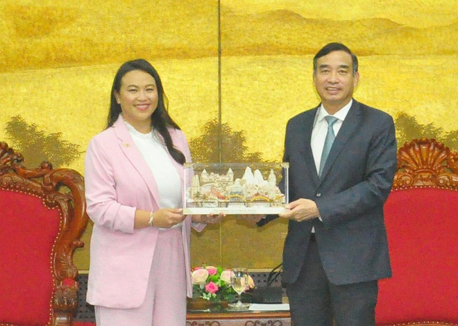 Ciudad de Da Nang promete condiciones favorables para inversores de Estados Unidos ảnh 1 Ciudad de Da Nang promete condiciones favorables para inversores de Estados Unidos ảnh 1