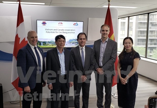 Provincia vietnamita busca oportunidades de cooperación en Canadá ảnh 1