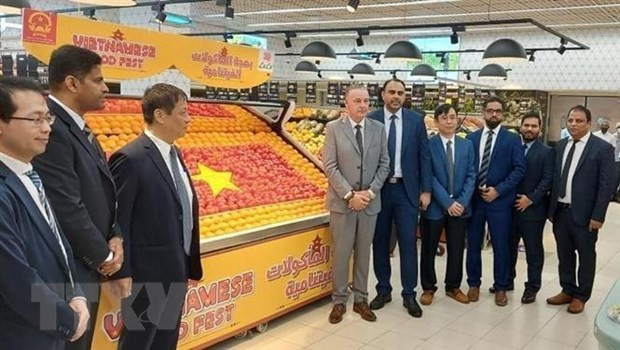 Resaltan papel de lazos económicos como pilar de relaciones Vietnam-UAE ảnh 2 Resaltan papel de lazos económicos como pilar de relaciones Vietnam-UAE ảnh 2