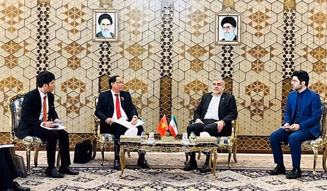 Fortalecen cooperación multifacética entre Vietnam e Irán ảnh 1
