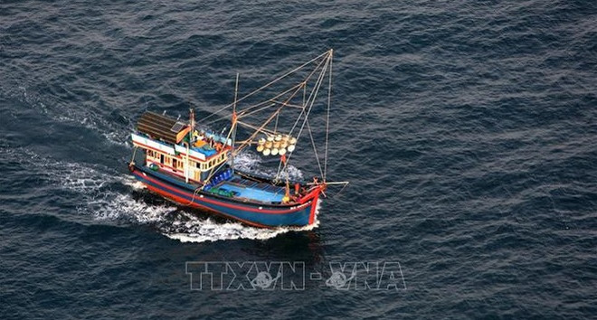 Instan a implementar medidas drásticas contra pesca ilegal ảnh 1 Instan a implementar medidas drásticas contra pesca ilegal ảnh 1