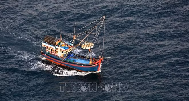 Instan a implementar medidas drásticas contra pesca ilegal ảnh 1 Instan a implementar medidas drásticas contra pesca ilegal ảnh 1