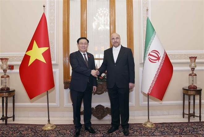 Vietnam e Irán acuerdan medidas para fortalecer nexos parlamentarios ảnh 1 Vietnam e Irán acuerdan medidas para fortalecer nexos parlamentarios ảnh 1