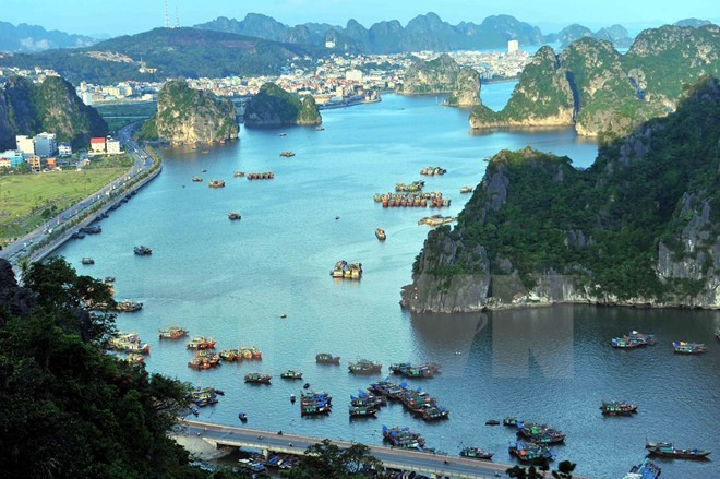 Descubren otras 23 cuevas en bahías Ha Long y Bai Tu Long ảnh 1 Descubren otras 23 cuevas en bahías Ha Long y Bai Tu Long ảnh 1