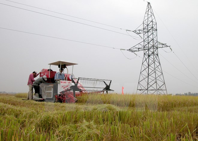 Sector de agricultura busca mayor inversión en tiempo del TPP ảnh 1 Sector de agricultura busca mayor inversión en tiempo del TPP ảnh 1
