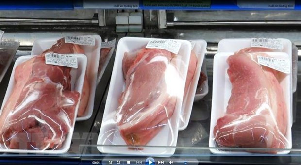 Provincia rusa de Kursk exportará carne de cerdo a Vietnam ảnh 1