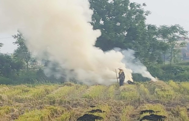 Promueven soluciones para la gestión de la calidad del aire en Hanoi ảnh 1 Promueven soluciones para la gestión de la calidad del aire en Hanoi ảnh 1