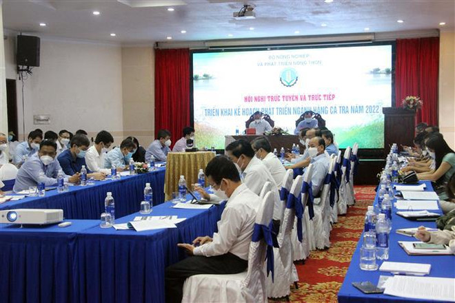 Vietnam por alcanzar ingresos multimillonarios de exportaciones de pescado Tra en 2022 ảnh 2 Vietnam por alcanzar ingresos multimillonarios de exportaciones de pescado Tra en 2022 ảnh 2