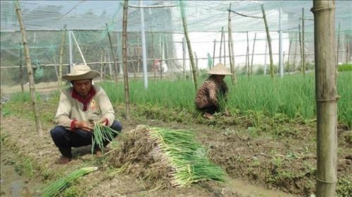 Provincia vietnamita de Tra Vinh implementa 10 proyectos para mejorar la vida de etnias minoritarias ảnh 2 Provincia vietnamita de Tra Vinh implementa 10 proyectos para mejorar la vida de etnias minoritarias ảnh 2