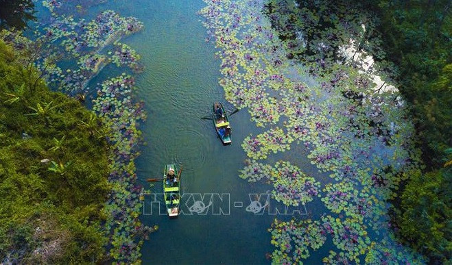 Revolución digital en el turismo vietnamita: Importancia de empresas pioneras ảnh 1 Revolución digital en el turismo vietnamita: Importancia de empresas pioneras ảnh 1