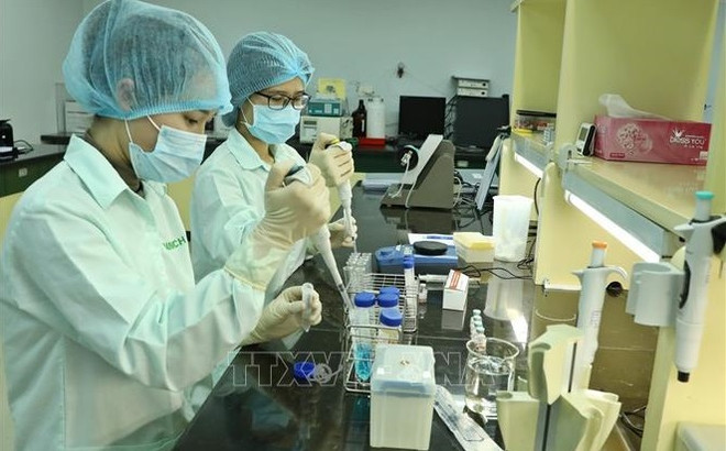 Vietnam recibirá tecnología para producir vacunas de ARNm bajo iniciativa de la OMS ảnh 1 Vietnam recibirá tecnología para producir vacunas de ARNm bajo iniciativa de la OMS ảnh 1