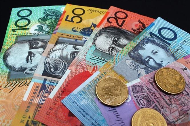 Australia invierte fondo millonario en empresa emprendedora vietnamita ảnh 1 Australia invierte fondo millonario en empresa emprendedora vietnamita ảnh 1