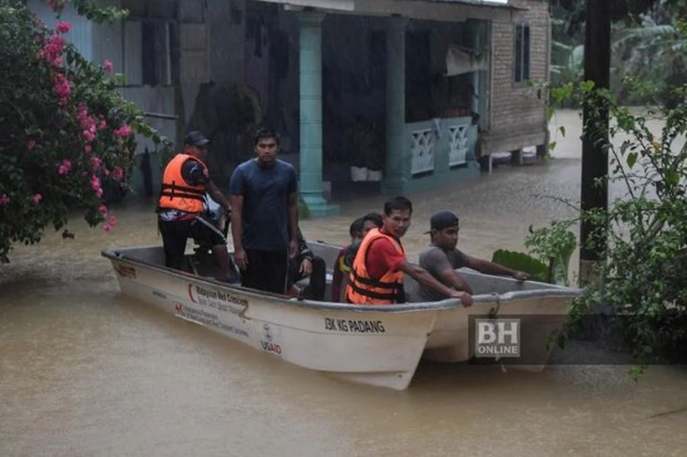 Miles de personas en Malasia evacuadas por inundaciones ảnh 1