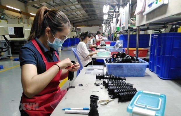 Ciudad Ho Chi Minh trabaja por desarrollar el ecosistema de startups e innovación ảnh 1 Ciudad Ho Chi Minh trabaja por desarrollar el ecosistema de startups e innovación ảnh 1
