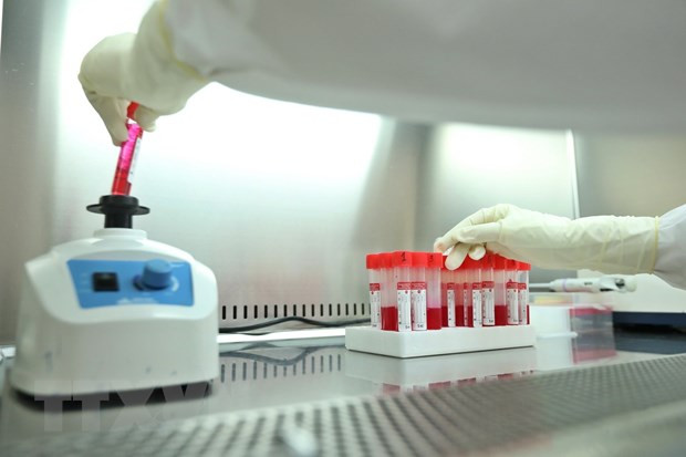 Última actualización de casos del COVID-19 en Vietnam ảnh 1 Última actualización de casos del COVID-19 en Vietnam ảnh 1