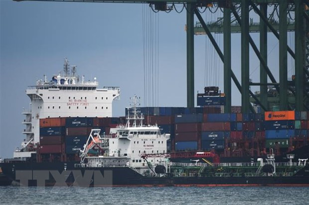 Buscan nuevas oportunidades de exportaciones entre Vietnam y Singapur ảnh 2 Buscan nuevas oportunidades de exportaciones entre Vietnam y Singapur ảnh 2