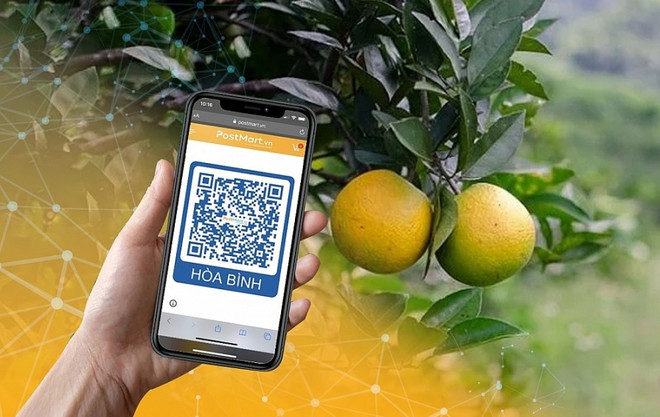 Conectarán 7,5 millones de hogares agrícolas vietnamitas a comercio electrónico ảnh 1 Conectarán 7,5 millones de hogares agrícolas vietnamitas a comercio electrónico ảnh 1