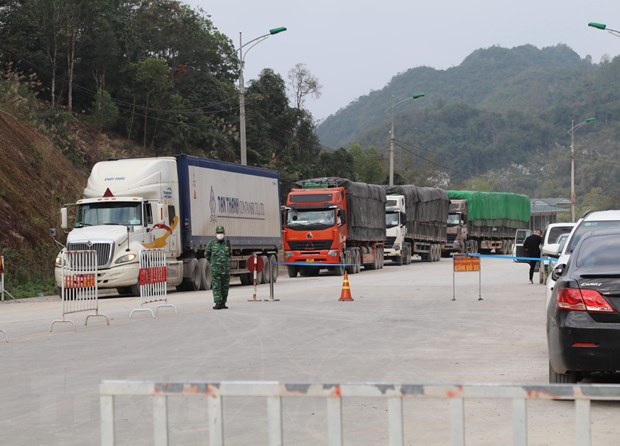 Despacho de mercancías en puertas fronterizas de Vietnam con China enfrenta dificultades ảnh 1