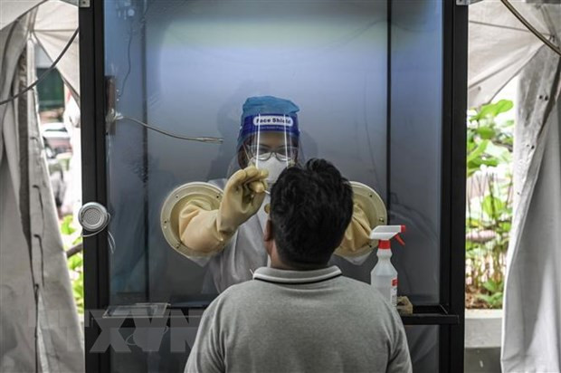 COVID-19 amenaza el desarrollo del Sudeste Asiático ảnh 1