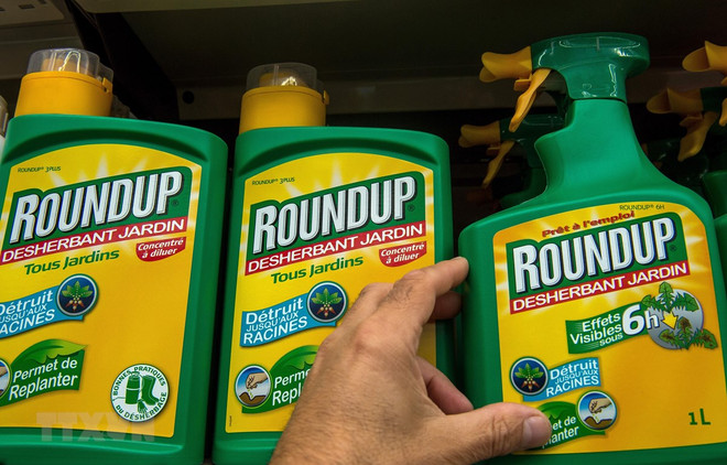 Corte de EE.UU. rechaza apelación de Monsanto contra el herbicida Roundup ảnh 1 Corte de EE.UU. rechaza apelación de Monsanto contra el herbicida Roundup ảnh 1