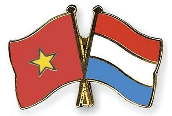 Conmemoran 48 años de las relaciones diplomáticas Vietnam-Países Bajos ảnh 1 Conmemoran 48 años de las relaciones diplomáticas Vietnam-Países Bajos ảnh 1