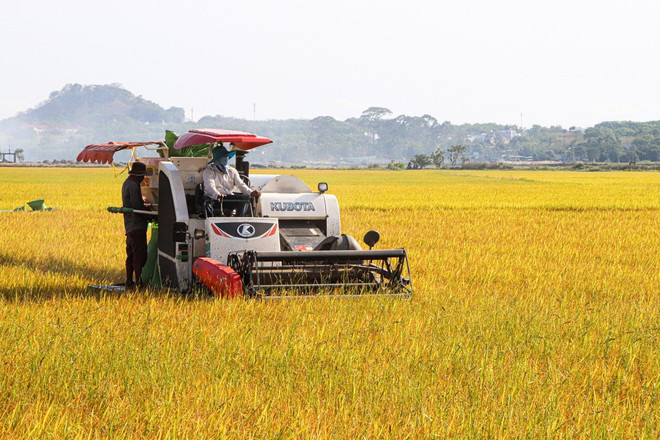 Mecanización beneficia a agricultores de la provincia vietnamita de Ba Ria - Vung Tau ảnh 2 Mecanización beneficia a agricultores de la provincia vietnamita de Ba Ria - Vung Tau ảnh 2