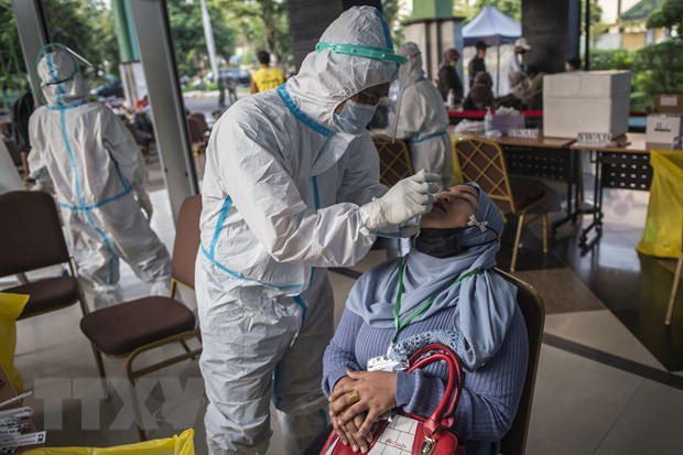 Indonesia detecta 26 casos con nuevas variantes del virus SARS-CoV-2 ảnh 1