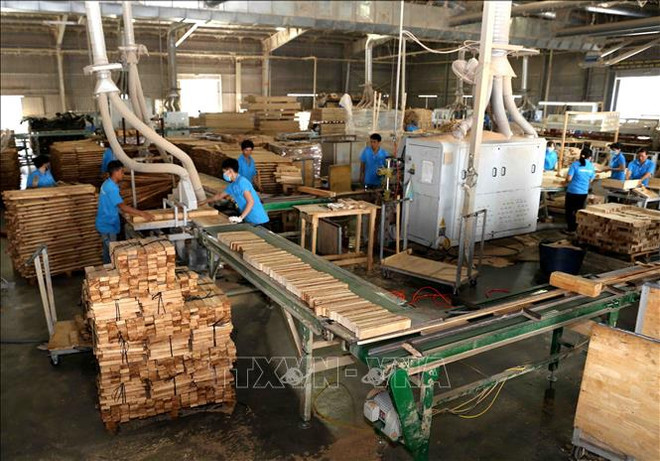 Vietnam aspira a convertirse en principal centro mundial de producción forestal ảnh 1 Vietnam aspira a convertirse en principal centro mundial de producción forestal ảnh 1