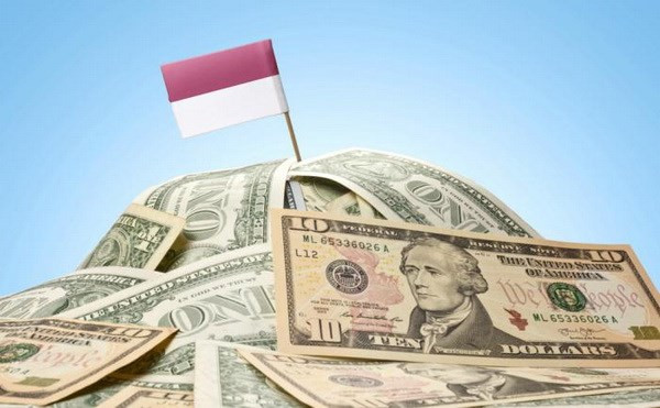 Indonesia estimula inversiones extranjeras en islas Natuna ảnh 1