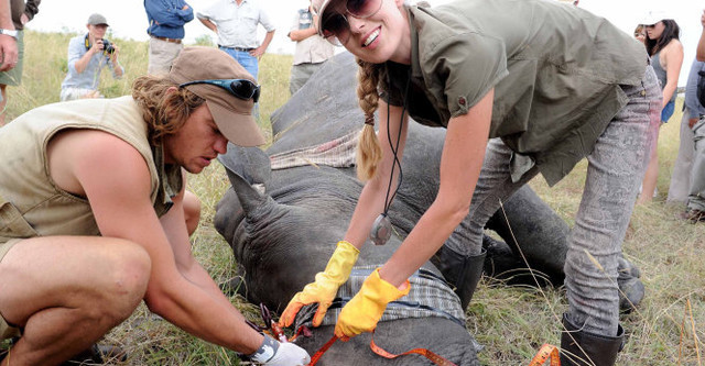 Ogilvy Vietnam obtiene premios por campaña de conservación de rinocerontes ảnh 1 Ogilvy Vietnam obtiene premios por campaña de conservación de rinocerontes ảnh 1
