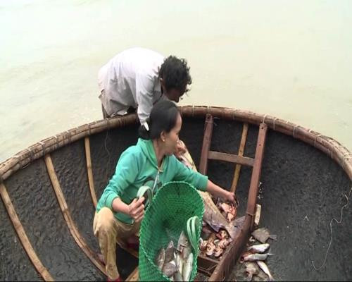 Respalda Thua Thien- Hue a pescadores en estabilización de vida ảnh 1 Respalda Thua Thien- Hue a pescadores en estabilización de vida ảnh 1