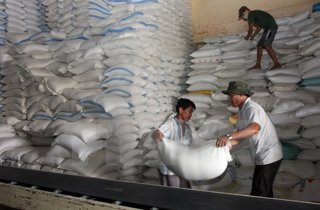 Vietnam y Tailandia ganan subasta para exportar arroz a Filipinas ảnh 1 Vietnam y Tailandia ganan subasta para exportar arroz a Filipinas ảnh 1