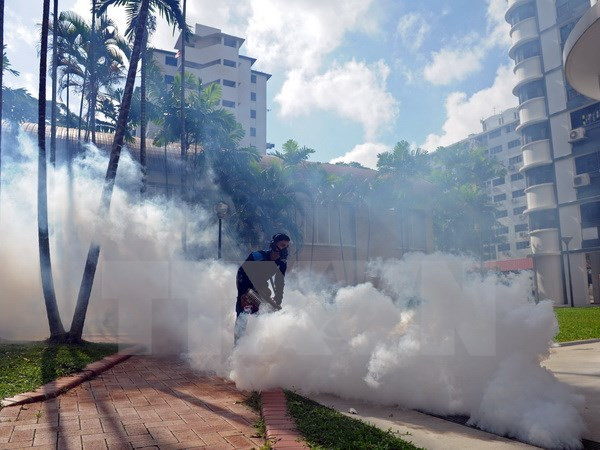 El virus Zika continúa su expansión en Singapur ảnh 1 El virus Zika continúa su expansión en Singapur ảnh 1