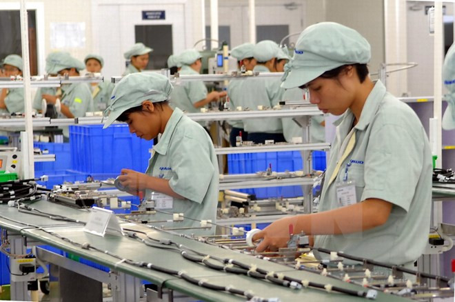 Grupo japonés estudia oportunidades de inversión en Vietnam ảnh 1 Grupo japonés estudia oportunidades de inversión en Vietnam ảnh 1