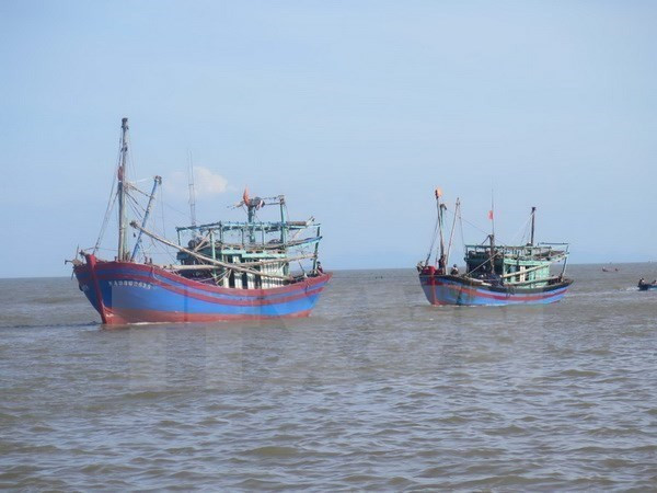 Premier vietnamita insta a fortalecer medidas contra la pesca ilegal en aguas extranjeras ảnh 1 Premier vietnamita insta a fortalecer medidas contra la pesca ilegal en aguas extranjeras ảnh 1