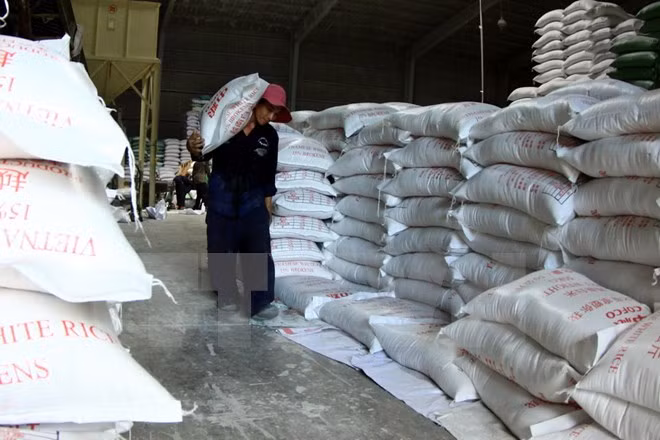 Exportación arrocera de Vietnam reporta señales optimistas ảnh 1 Exportación arrocera de Vietnam reporta señales optimistas ảnh 1